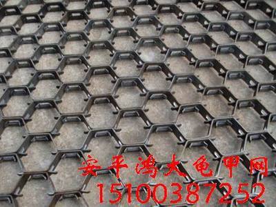 逐鹿龟甲网 探访行业领军生产家的品质密码与发展足迹
